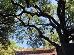 -普陀山风景名胜区-法雨禅寺
