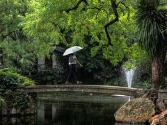 -广州兰圃