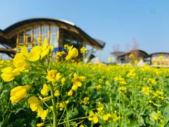 -中国天府农业博览园