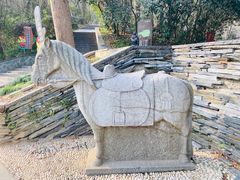 -上海佘山国家森林公园西佘山园