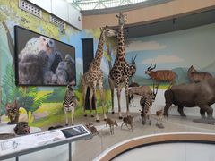 -陕西自然博物馆