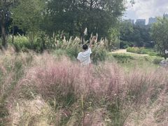 -广西壮族自治区药用植物园