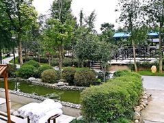 -三江森林温泉度假区
