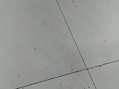 -舒蔡记生煎菜饭(云南中路店)