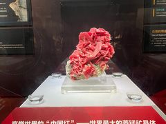 -湖南省地质博物馆