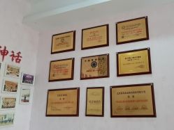 -香薇妮丝·定制减肥·身材管理