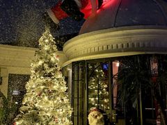 -弦月窗LUNETTE BY AMANDA(复兴路店)