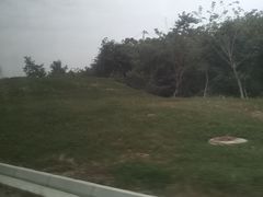 -两河城市森林公园