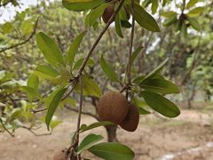 -中国移动南方基地