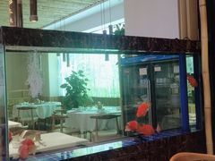 -原鄉本味 楚菜 丹江口鱼(北苑店)