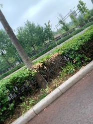 -HEYAN长风荷妍专业脱毛美肤
