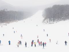 -五家山森林公园滑雪场