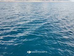 -雅鲁激流探险漂流