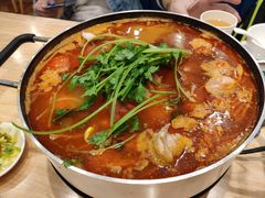 凯里酸汤鱼-贵凤凰贵州米粉(五道口店)
