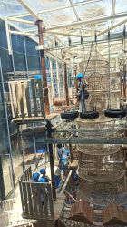 -PIPIKINGDOM皮皮王国欢乐号(欢乐海岸购物中心店)