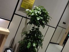 -山里娃养生集团(临朐二店)