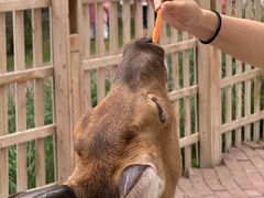 -水上乐园·欢乐世界