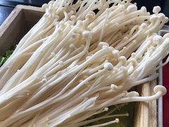 金针菇-大隐·成都火锅Bistro(合生麒麟新天地店)