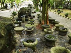 -海口火山口国家地质公园