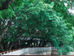 -人民公园(罗湖区)