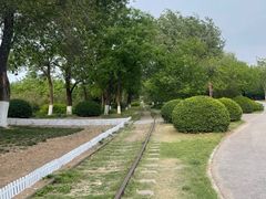 -永定河休闲森林公园