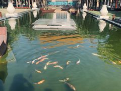 -三亚海棠湾万丽度假酒店