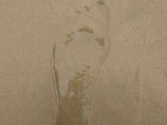 -北戴河圣蓝海洋公园