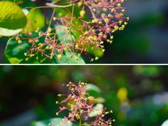 -周口店坡峰岭风景区