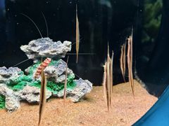 -欢乐海岸海洋奇梦馆