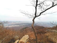 -紫金山山顶公园