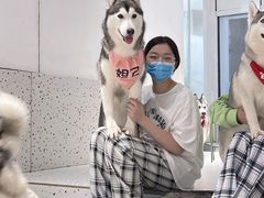 -Husky Go!哈士奇体验馆·宠物咖啡厅狗咖