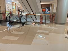 -小吊梨汤·北京菜·烤鸭(清河万象汇店)
