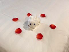 -张家港华芳金陵国际酒店