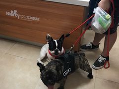 -宠福鑫动物医院·动物疾病诊疗中心(天通苑店)