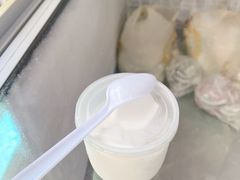 -洪馨椰子
