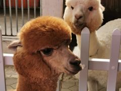 -大连市皮肤病医院