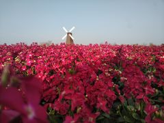 -漩门湾国家湿地公园