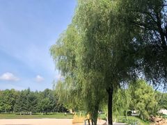 -长春世界雕塑园冰雪艺术天地