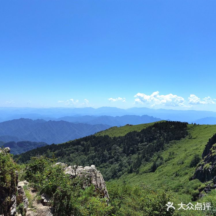 秦岭七十二峪｜分水岭高山草甸