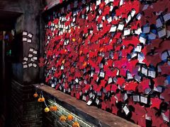 -长藤鬼校(龙翔店)