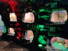 -上海大自然野生昆虫馆(东方明珠·爬宠昆虫探索中心)