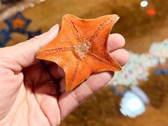 -大连圣亚海洋世界