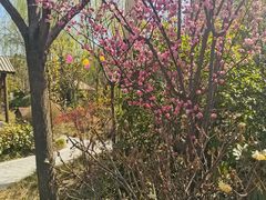 -太白山御龙湾温泉