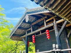 -大唐贡茶院