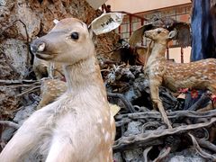 大堂-乔家满族八大碗(流水沟店)