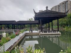 -洋湖国家湿地公园