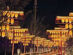 -青龙湖公园