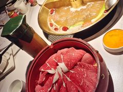 -小龙翻大江文化火锅(宽窄店)