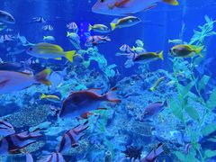 -海合安成都极地海洋公园