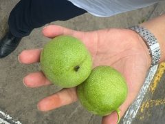 -双龙峡